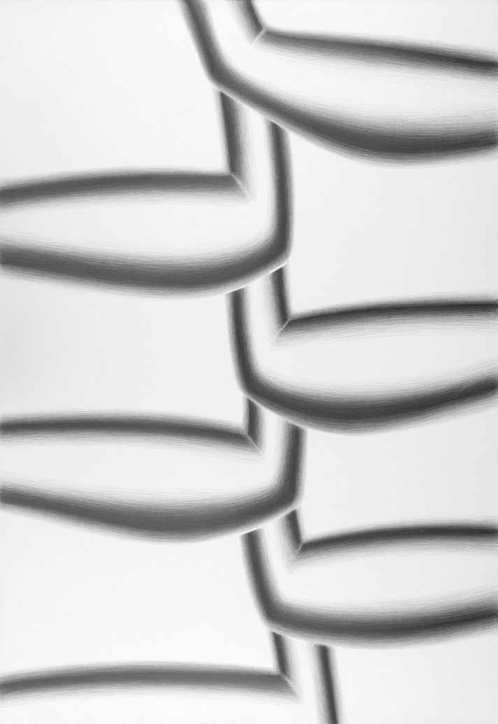 Serie Heliconias, 2013. Lápiz grafito sobre papel, 99 x 69 cm